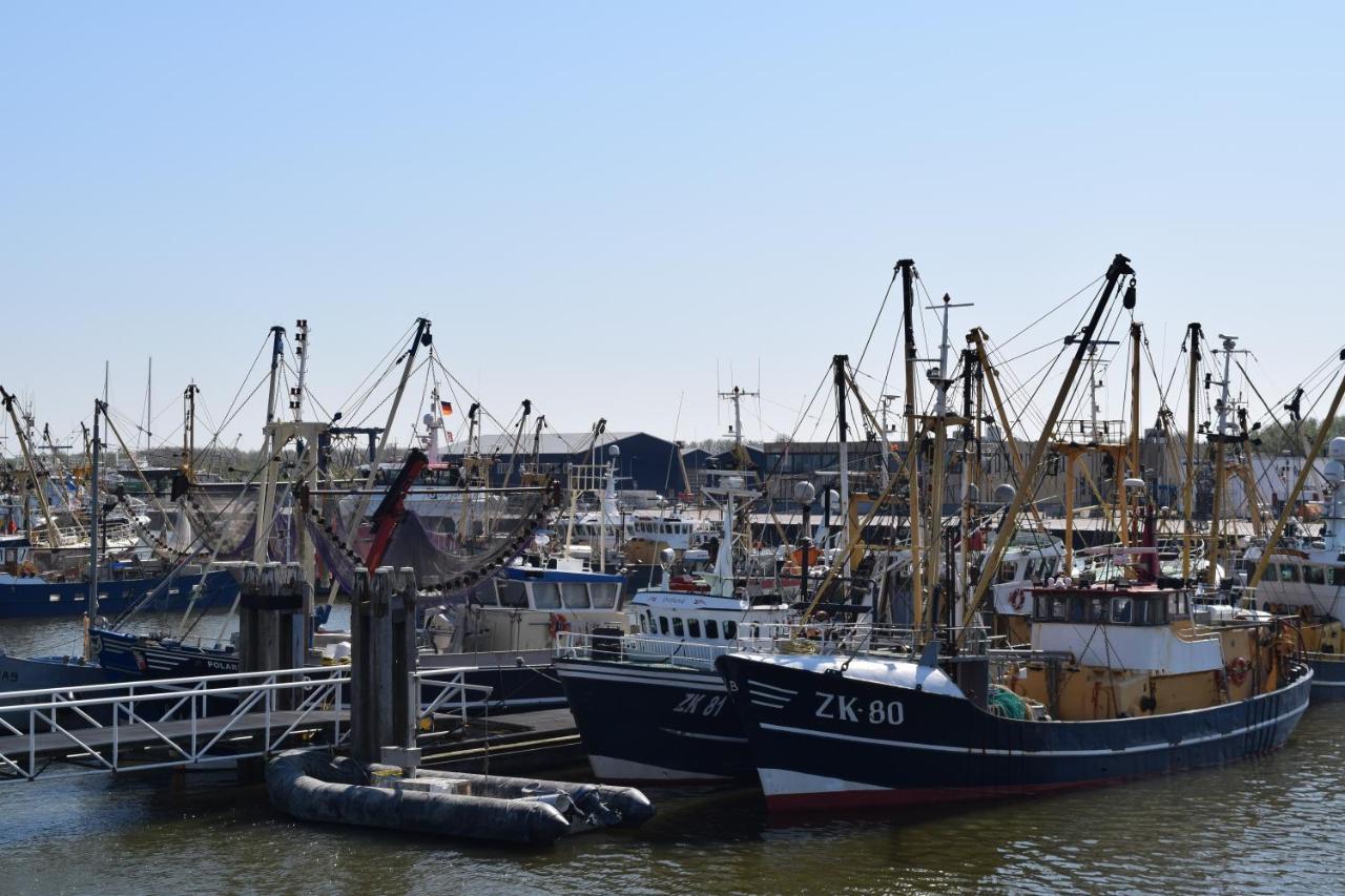 "Het Steechje" In Ie Bij Schiermonnikoog En Ameland Apartment Ee Luaran gambar