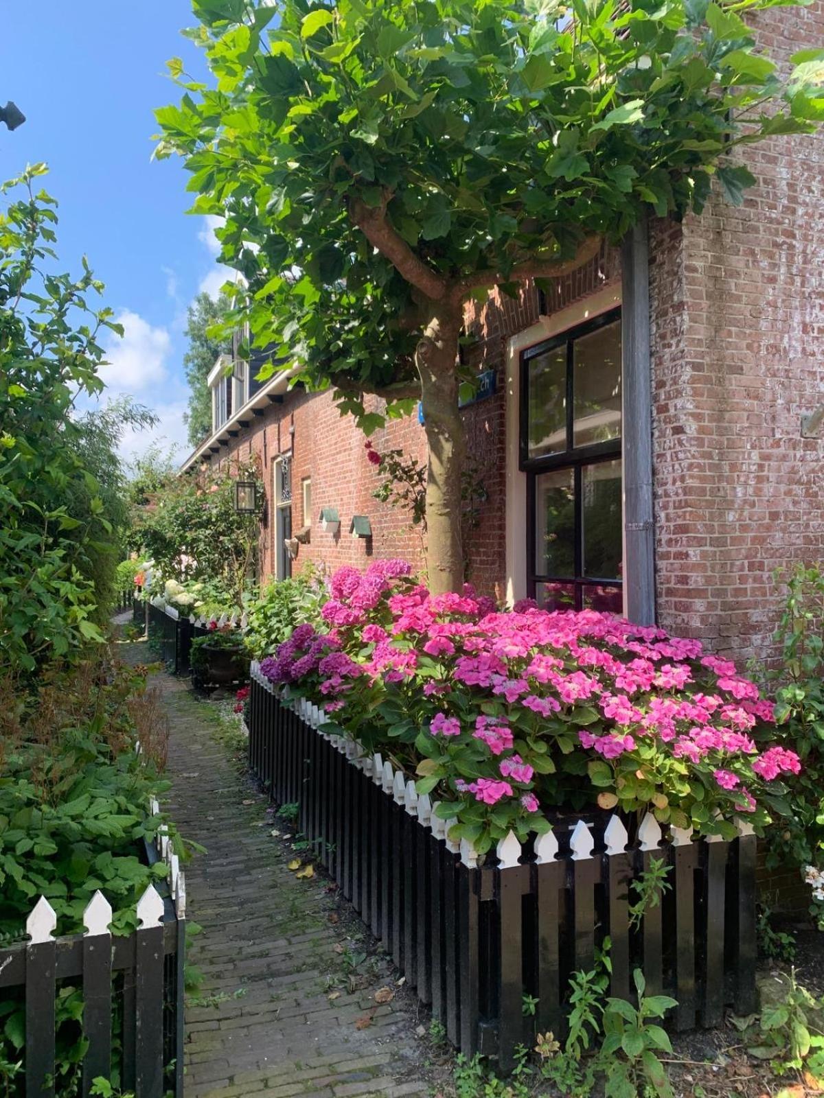 "Het Steechje" In Ie Bij Schiermonnikoog En Ameland Apartment Ee Luaran gambar